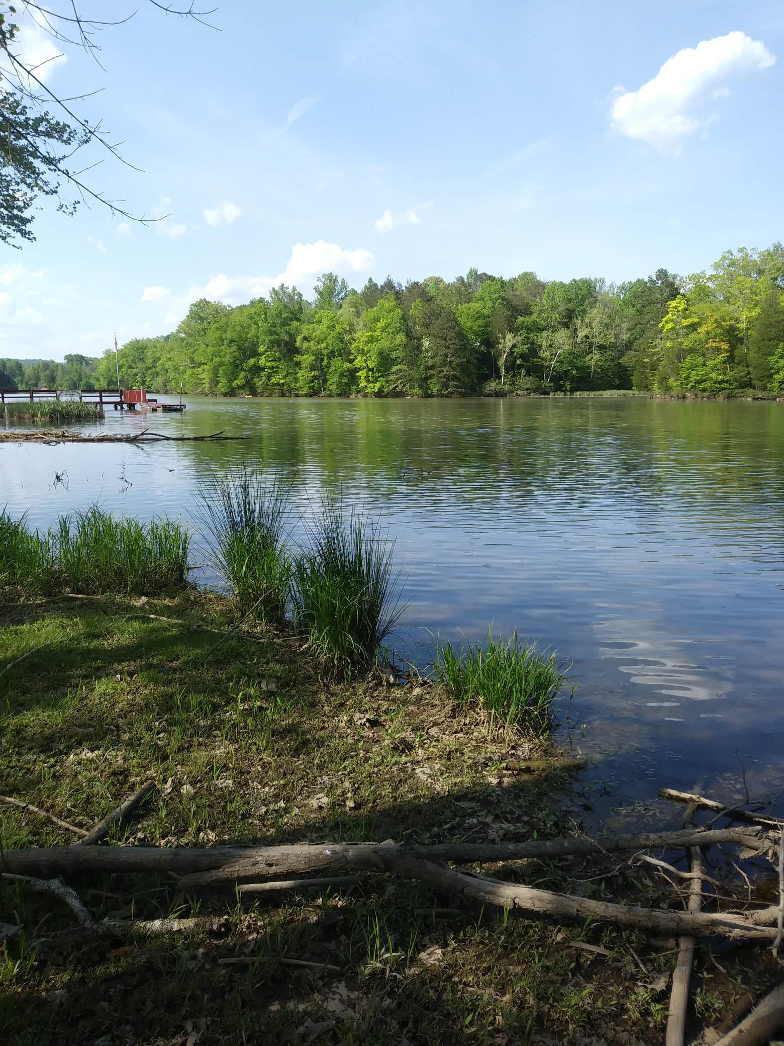 Camper submitted image from Soaring Eagle Campground - 3