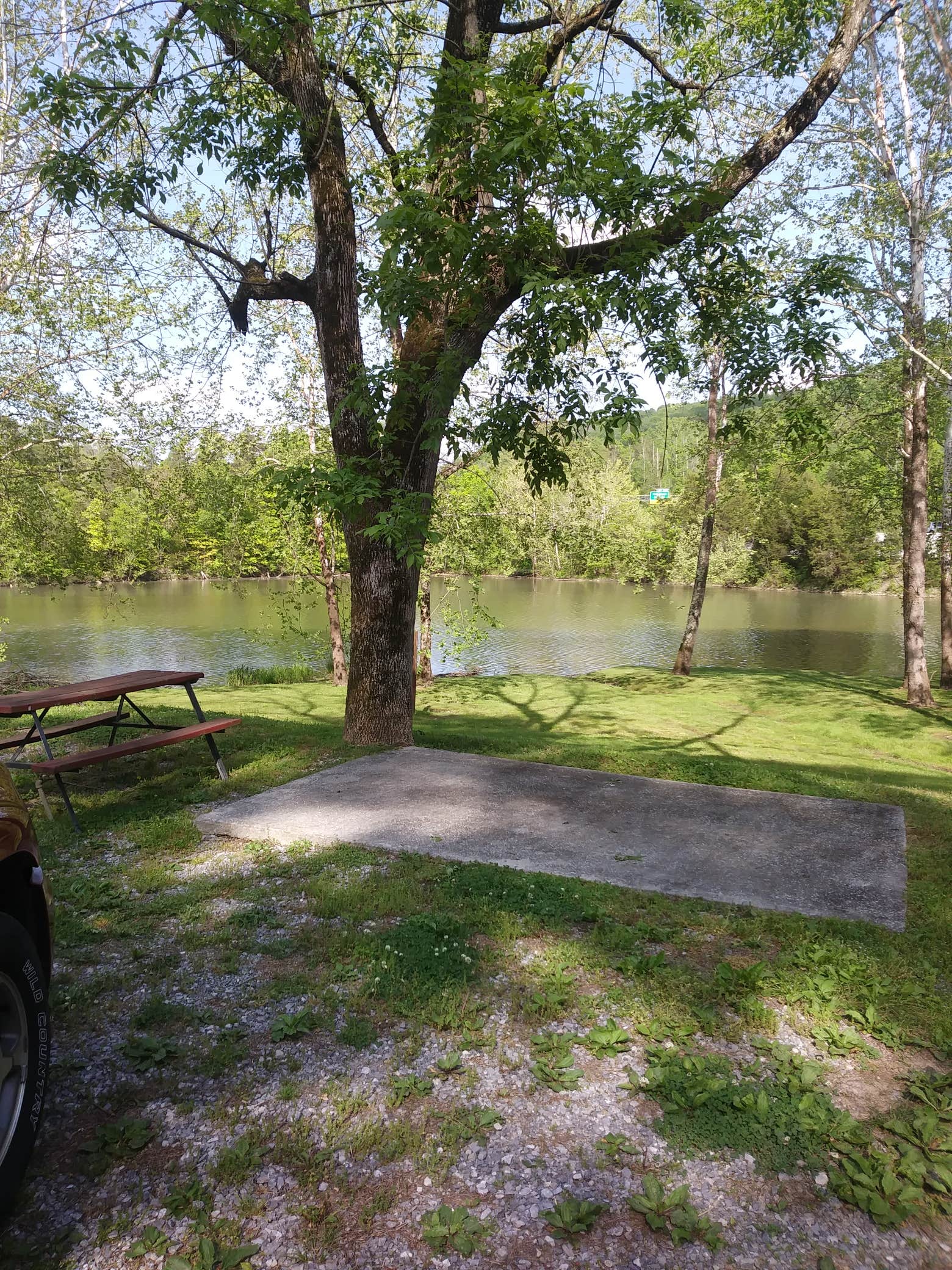 Camper submitted image from Soaring Eagle Campground - 5