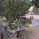 Review photo of Basin Campground — Kodachrome Basin State Park by Laura M., June 3, 2022