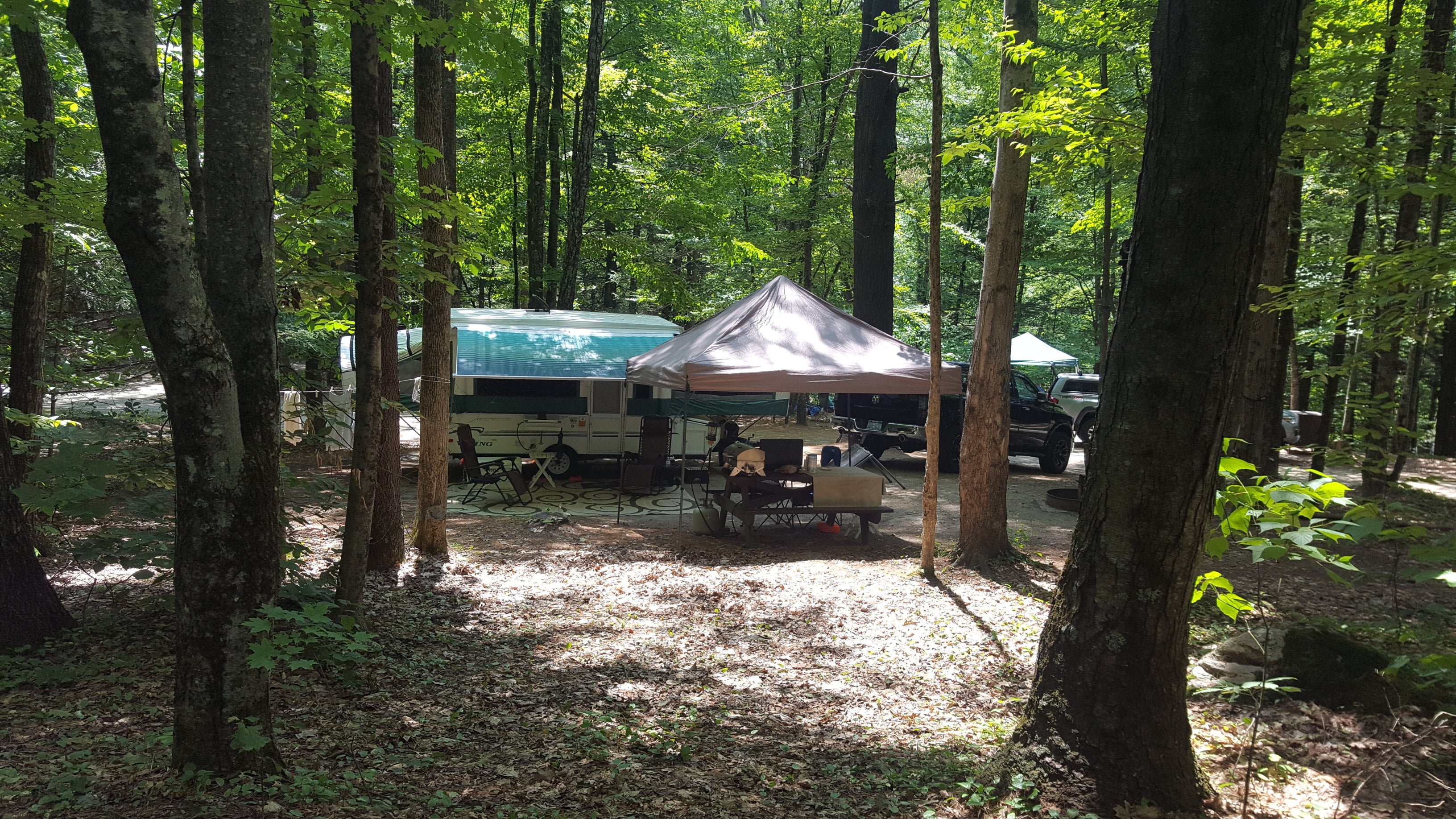 Camper submitted image from Mohawk Trail State Forest - 2