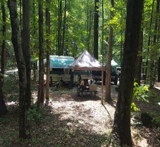 Camper-submitted photo from Mohawk Trail State Forest
