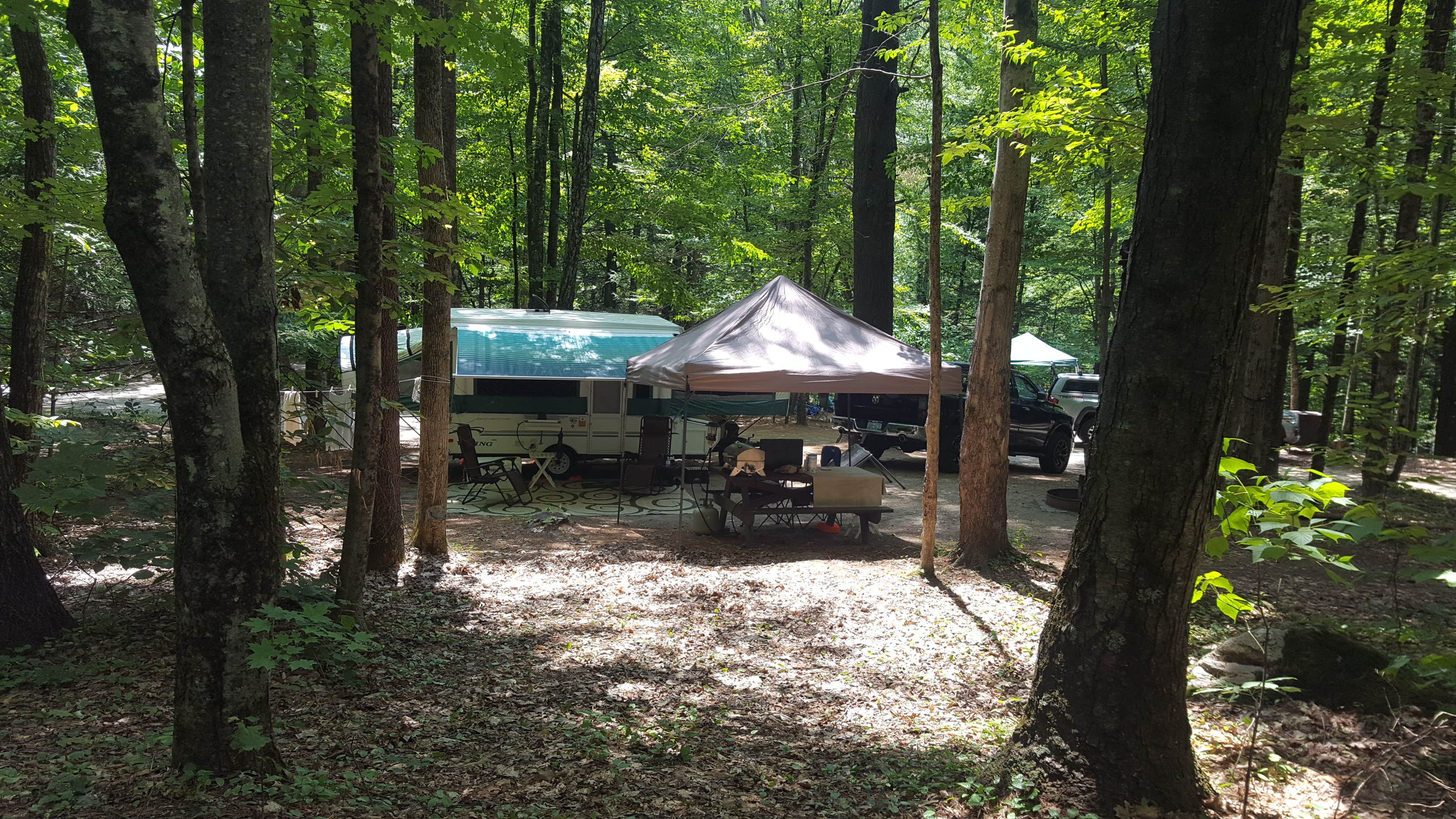 Camper submitted image from Mohawk Trail State Forest Campground - 3