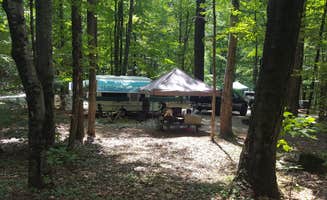 Michael G.'s photo at Mohawk Trail State Forest Campground near Florida, MA