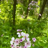 Review photo of Flandrau State Park by Timothy W., June 3, 2022