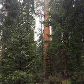 Review photo of Canyon View Group Sites — Kings Canyon National Park by DEREK B., June 9, 2015