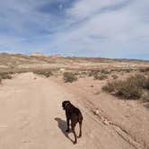 Review photo of Goblin Valley st Park dispersed camp area by Laura M., June 3, 2022