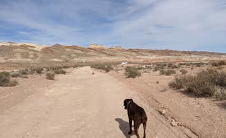 Laura M.'s photo of camping with pets at East Dispersed Area — Goblin Valley State Park near Hanksville, UT