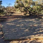 Review photo of Natural Bridges Campground by Laura M., June 3, 2022