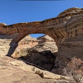 Review photo of Natural Bridges Campground by Laura M., June 3, 2022