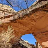 Review photo of Natural Bridges Campground by Laura M., June 3, 2022