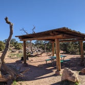 Review photo of Island In The Sky (Willow Flat) Campground — Canyonlands National Park by Laura M., June 3, 2022