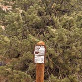 Review photo of Capitol Reef National Park Dispersed Camping by Laura M., June 3, 2022