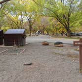 Review photo of Fruita Campground — Capitol Reef National Park by Laura M., June 3, 2022