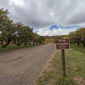 Review photo of Fruita Campground — Capitol Reef National Park by Laura M., June 3, 2022