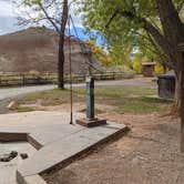 Review photo of Fruita Campground — Capitol Reef National Park by Laura M., June 3, 2022
