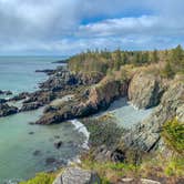 Review photo of Cutler Coast Public Land by Michael L., June 4, 2022