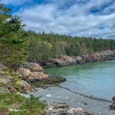 Review photo of Cutler Coast Public Land by Michael L., June 4, 2022