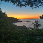 Review photo of Cutler Coast Public Land by Michael L., June 4, 2022