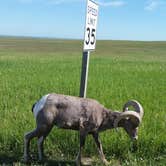 Review photo of Sage Creek Campground by phillip L., July 26, 2016
