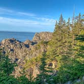 Review photo of Cutler Coast Public Land by Michael L., June 4, 2022