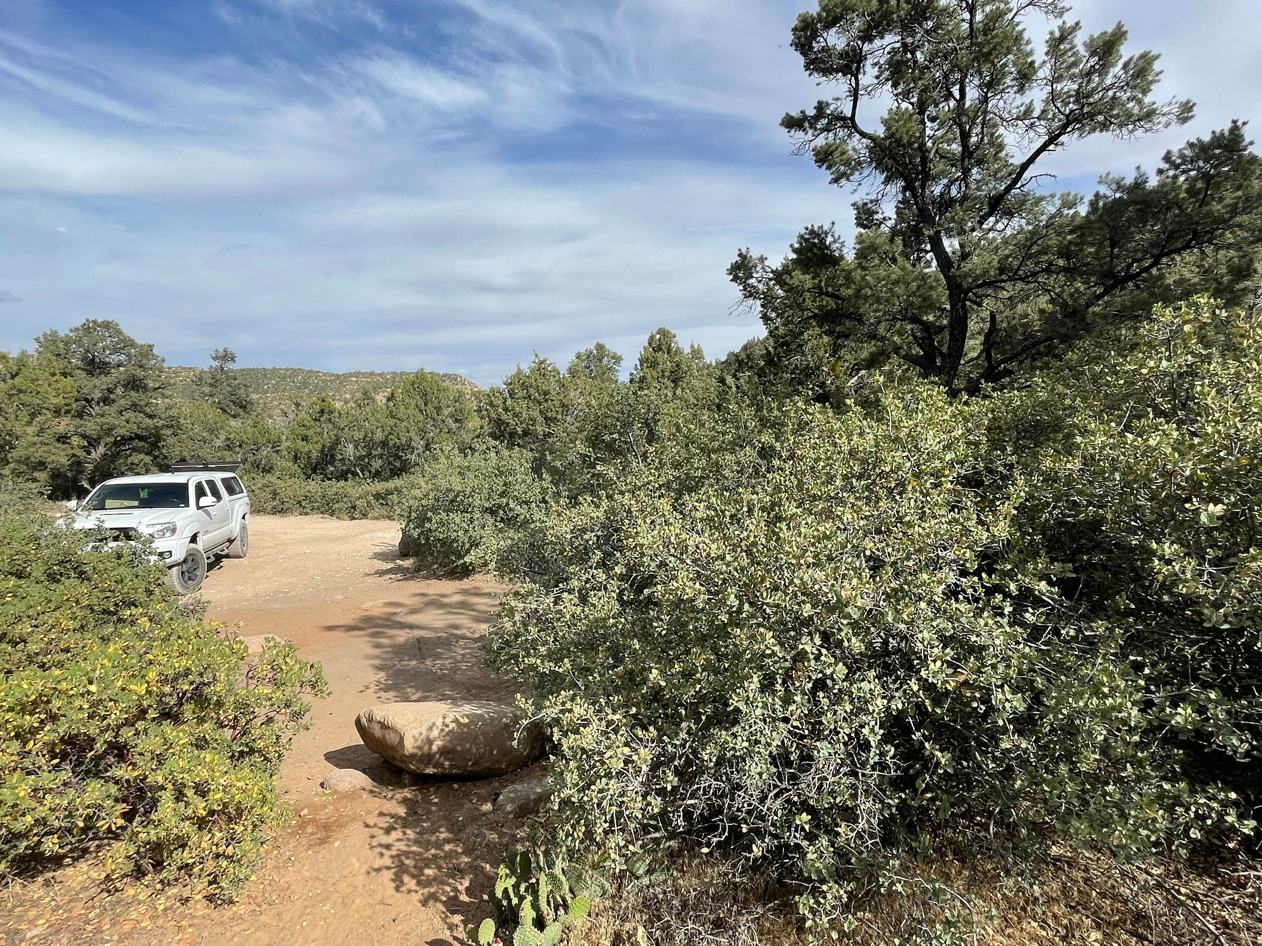 Camper submitted image from Leeds Canyon Dispersed #1 - 5