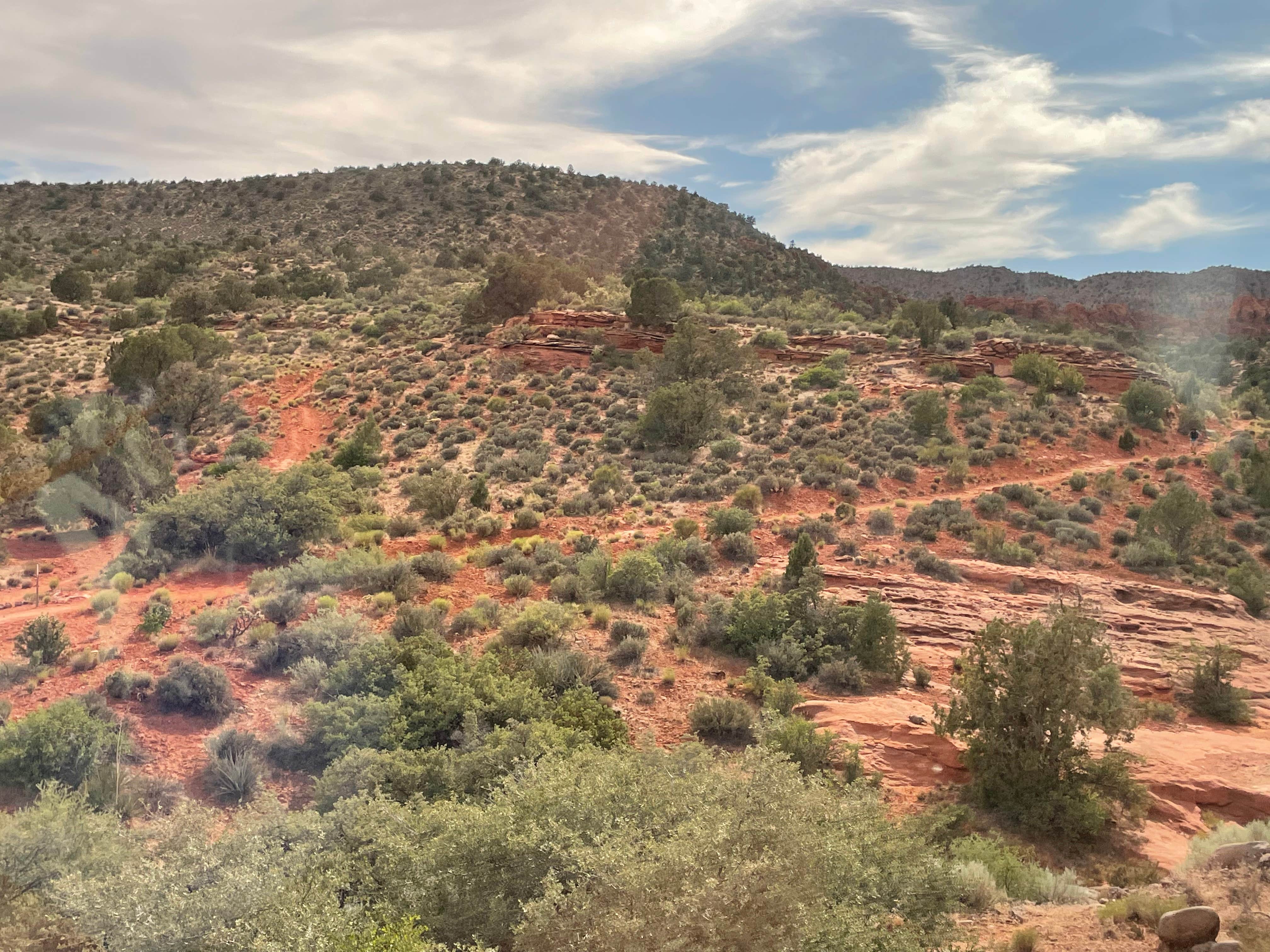 Camper-submitted photo at Leeds Canyon Dispersed #1 near Veyo, UT