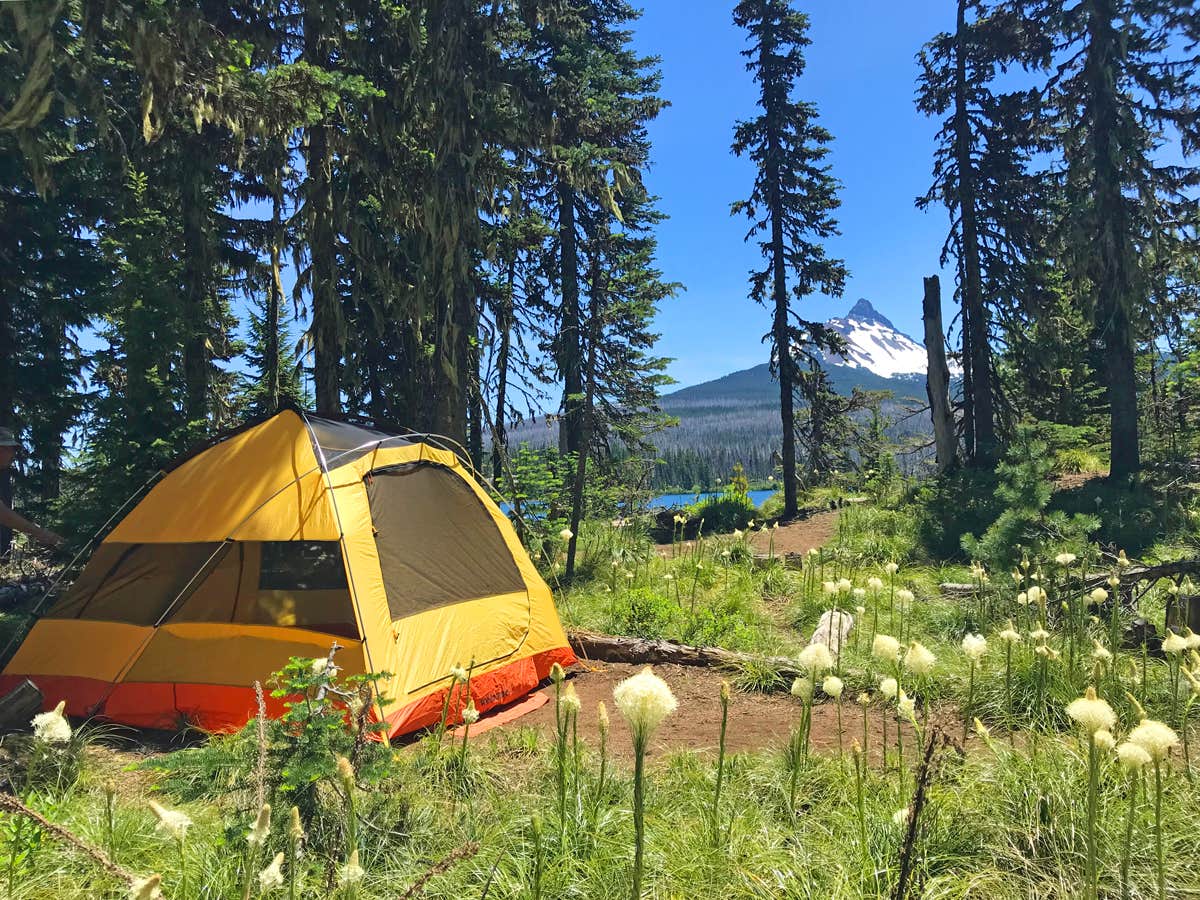 Camper submitted image from Camp QUACKER - 1