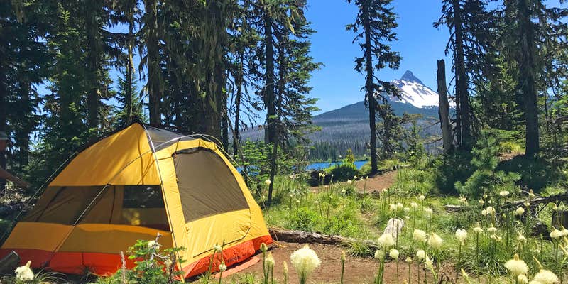 Camper submitted image from Camp QUACKER