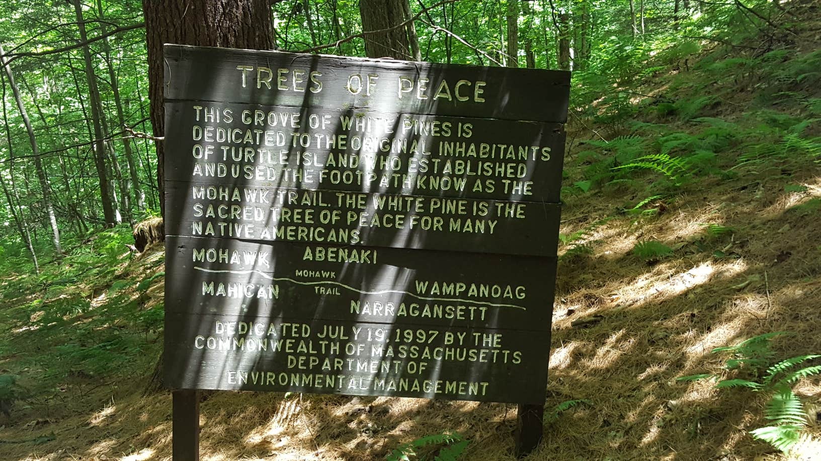Camper submitted image from Mohawk Trail State Forest Campground - 5