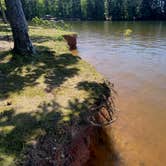 Review photo of Mistletoe State Park Campground by Sarah F., June 4, 2022