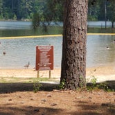 Review photo of Mistletoe State Park Campground by Sarah F., June 4, 2022