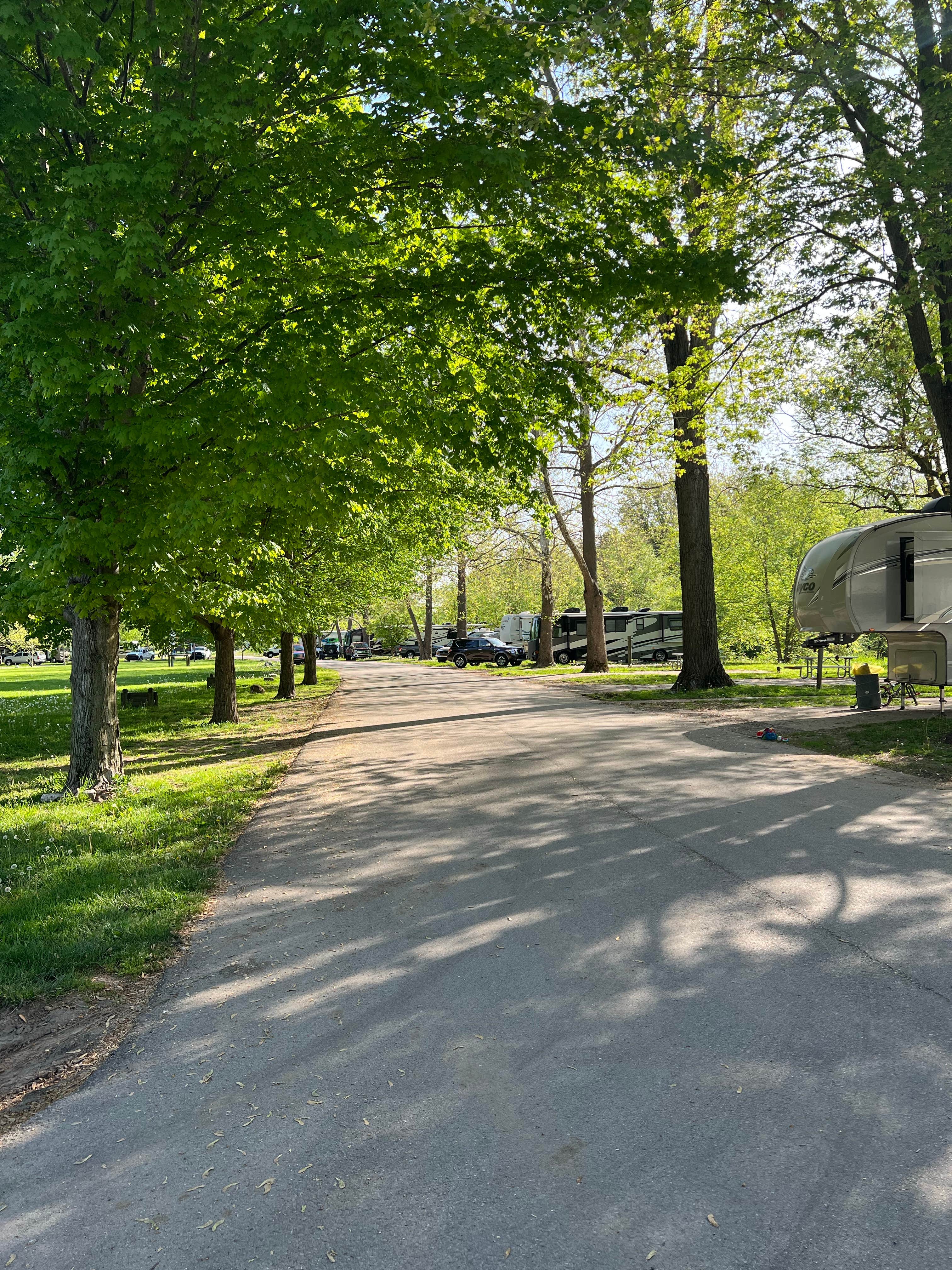 Bill B.'s photo of rv camping at White River Campground near Indianapolis, IN