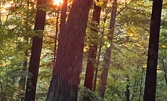 Camping near Paynetown Campground: Hoosier National Forest Pine Loop Campground, Harrodsburg, Indiana