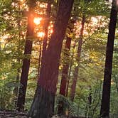 Review photo of Hoosier National Forest Pine Loop Campground by todd , June 4, 2022