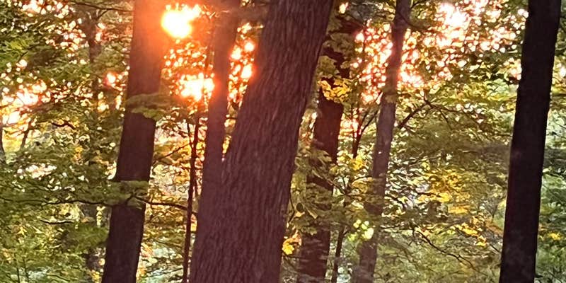 Camper submitted image from Hoosier National Forest Pine Loop Campground