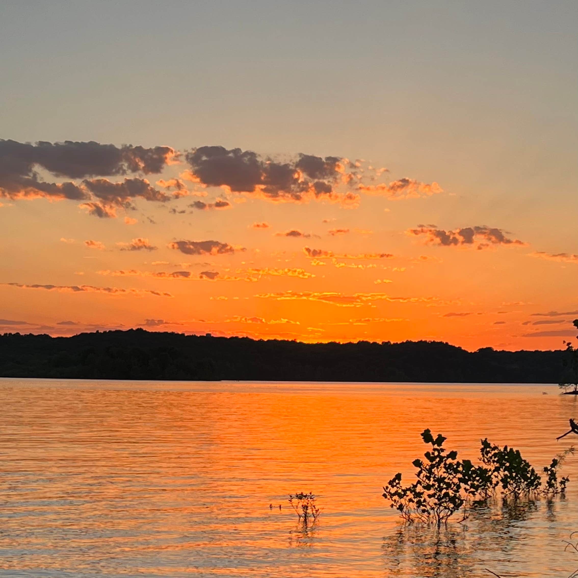 Hoosier National Forest Pine Loop Campground Camping The Dyrt