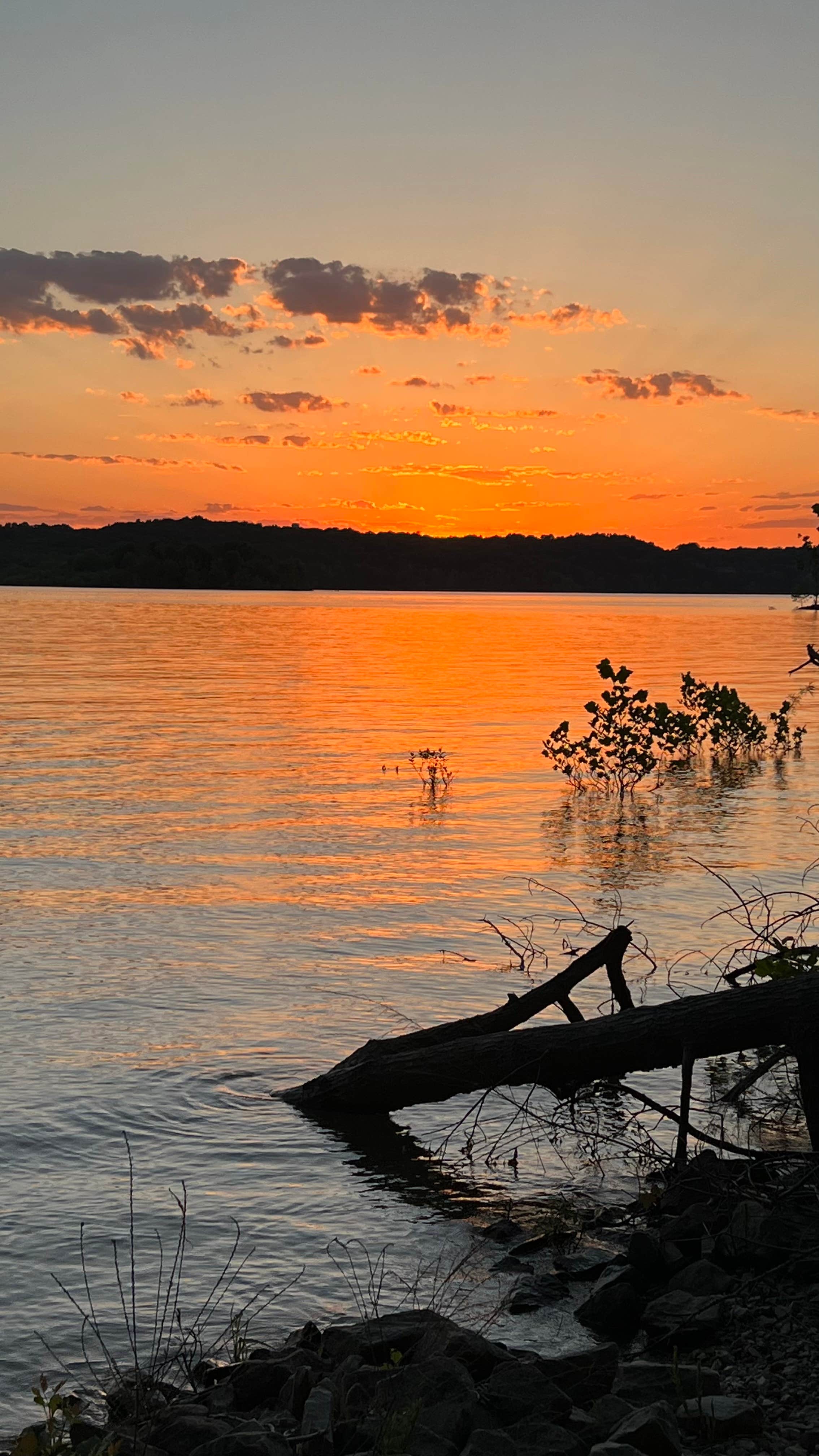 Hoosier National Forest Pine Loop Campground | Bloomington, IN