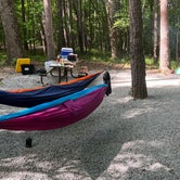 Review photo of Hoosier National Forest Pine Loop Campground by todd , June 4, 2022