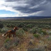 Review photo of Frenchman Coulee Backcountry Campsites by Brit B., July 15, 2018