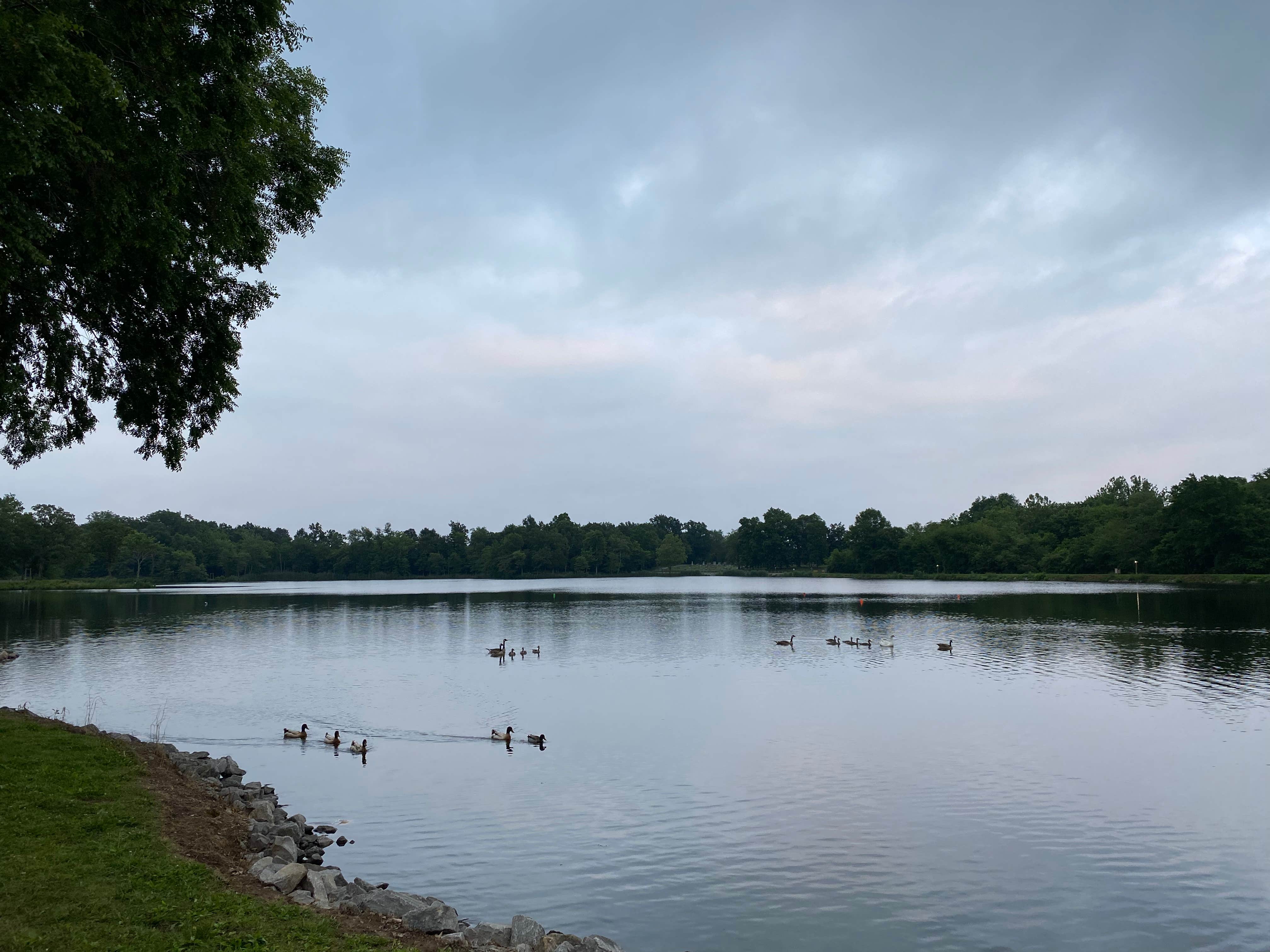 Camper submitted image from Arrowhead Lake Campground - 2