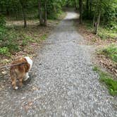 Review photo of Arrowhead Lake Campground by Amy E., June 4, 2022