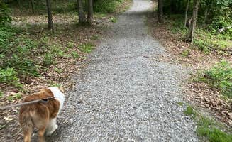 Amy E.'s photo of camping with pets at Arrowhead Lake Campground near Shawnee National Forest