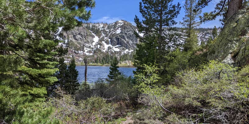 Camper submitted image from Plumas-Eureka State Park Campground