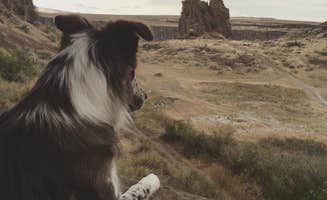 Brit B.'s photo of camping with pets at Frenchman Coulee Backcountry Campsites in Washington