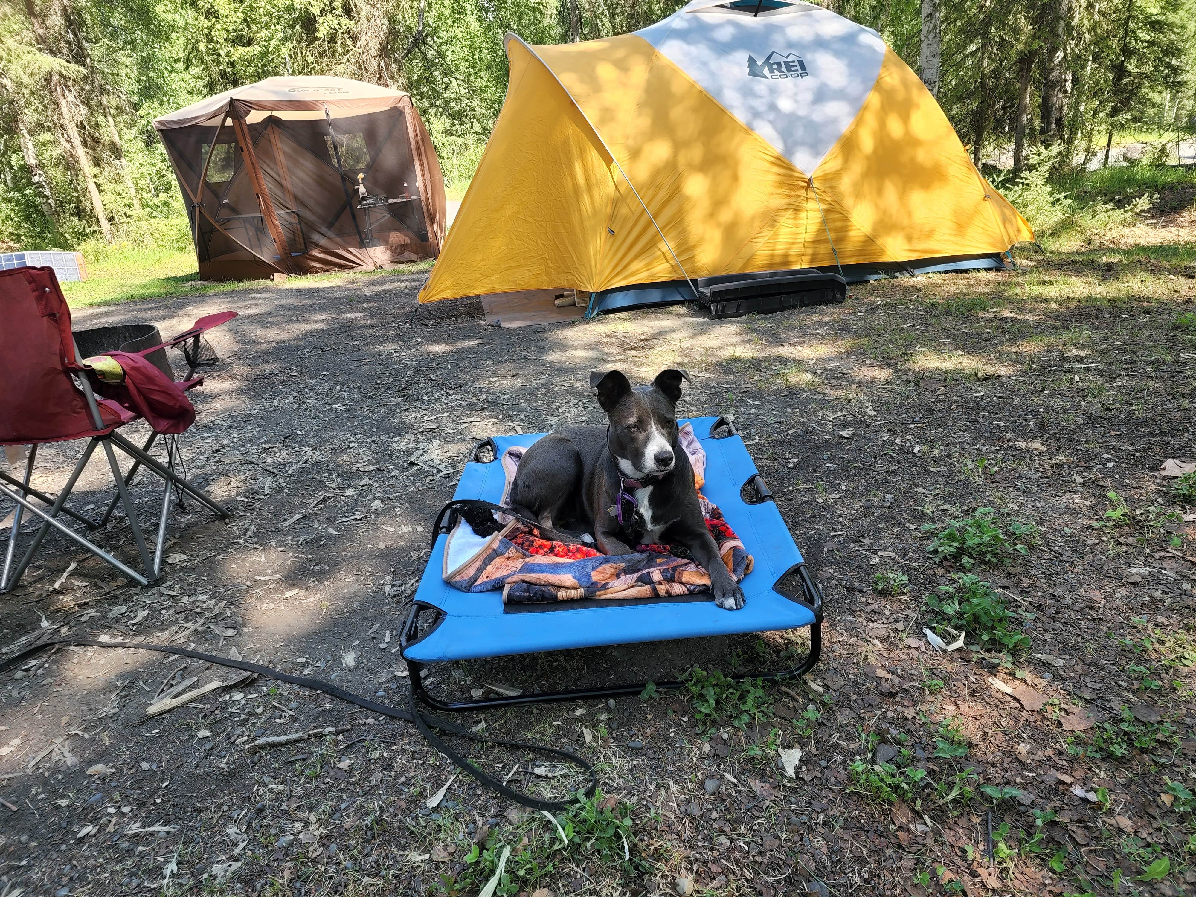 Camper submitted image from Eagle River Campground - Chugach State Park - 1