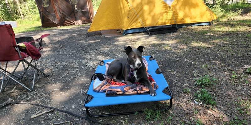 Camper submitted image from Eagle River Campground — Chugach State Park