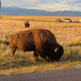 Review photo of Bridger Bay Campground — Antelope Island State Park by Melissa B., June 4, 2022