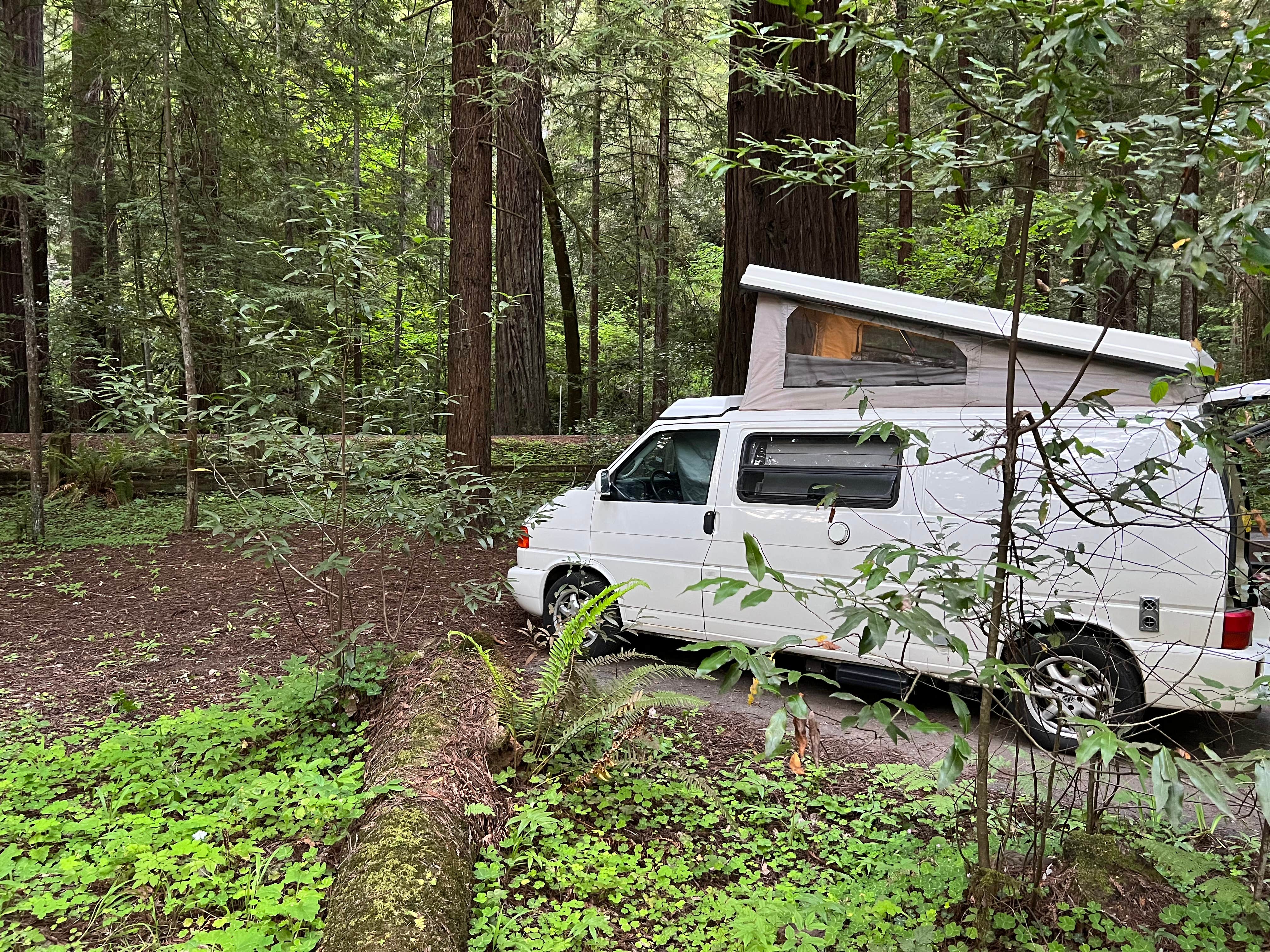Anthony C.'s photo of rv camping at Grizzly Creek Redwoods State Park Campground near Bridgeville, CA