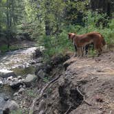 Review photo of Taneum Cabin by Brit B., July 15, 2018