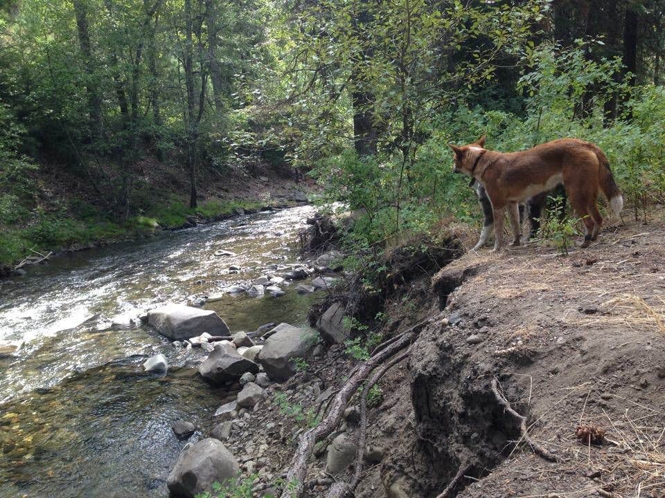 Camper submitted image from Taneum Cabin - 5